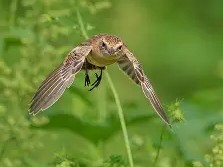 爱游戏APP-包含訂??K?增Q踣俣h勣??=鵖WB"g}M>V的词条